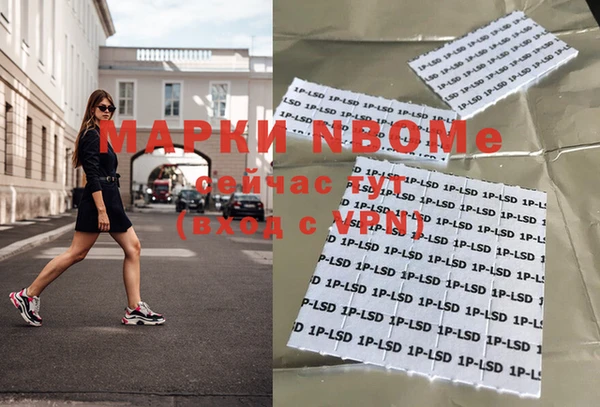 индика Беломорск