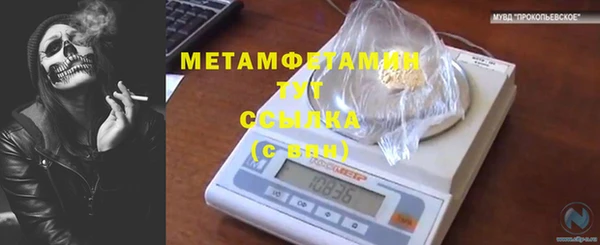 индика Беломорск