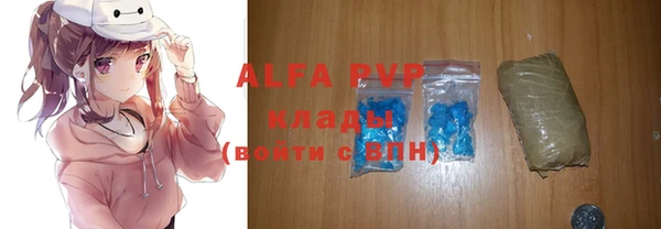 индика Беломорск
