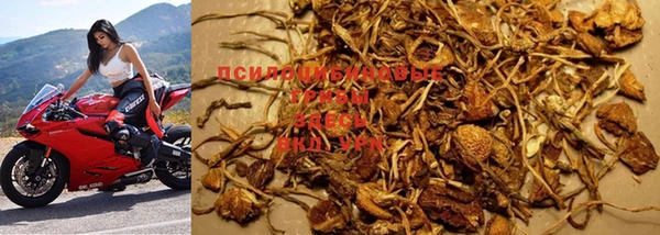 марки nbome Белокуриха