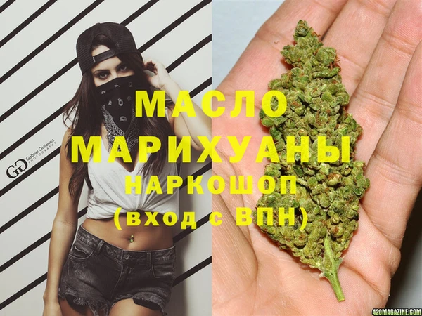 индика Беломорск