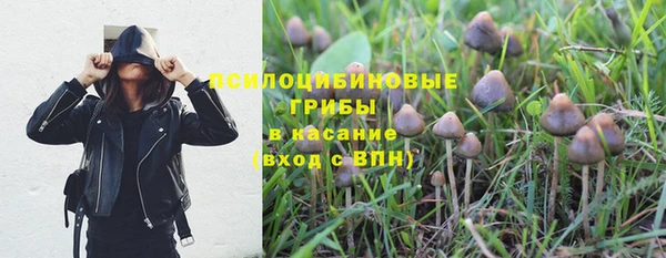 марки nbome Белокуриха