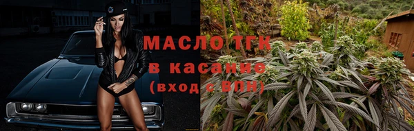 индика Беломорск