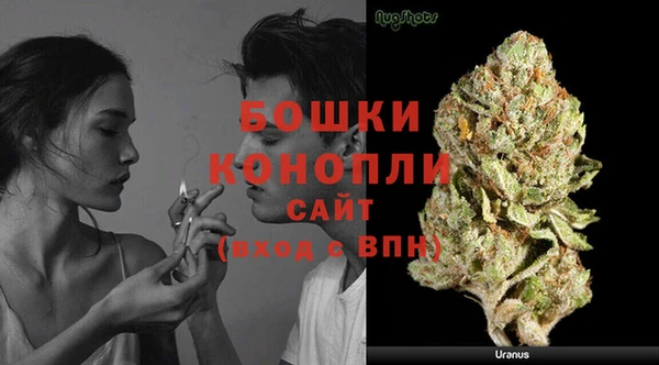 индика Беломорск
