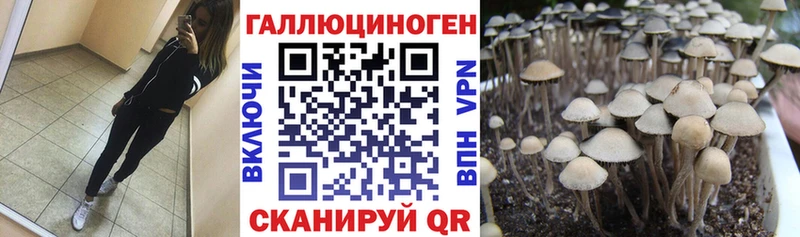 Псилоцибиновые грибы ЛСД  даркнет сайт  Плёс 